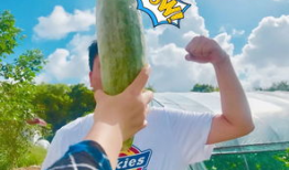 网红最新吃瓜爆料