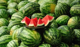 用吃瓜爆料的形式打广告,吃出惊喜，爆出美味！